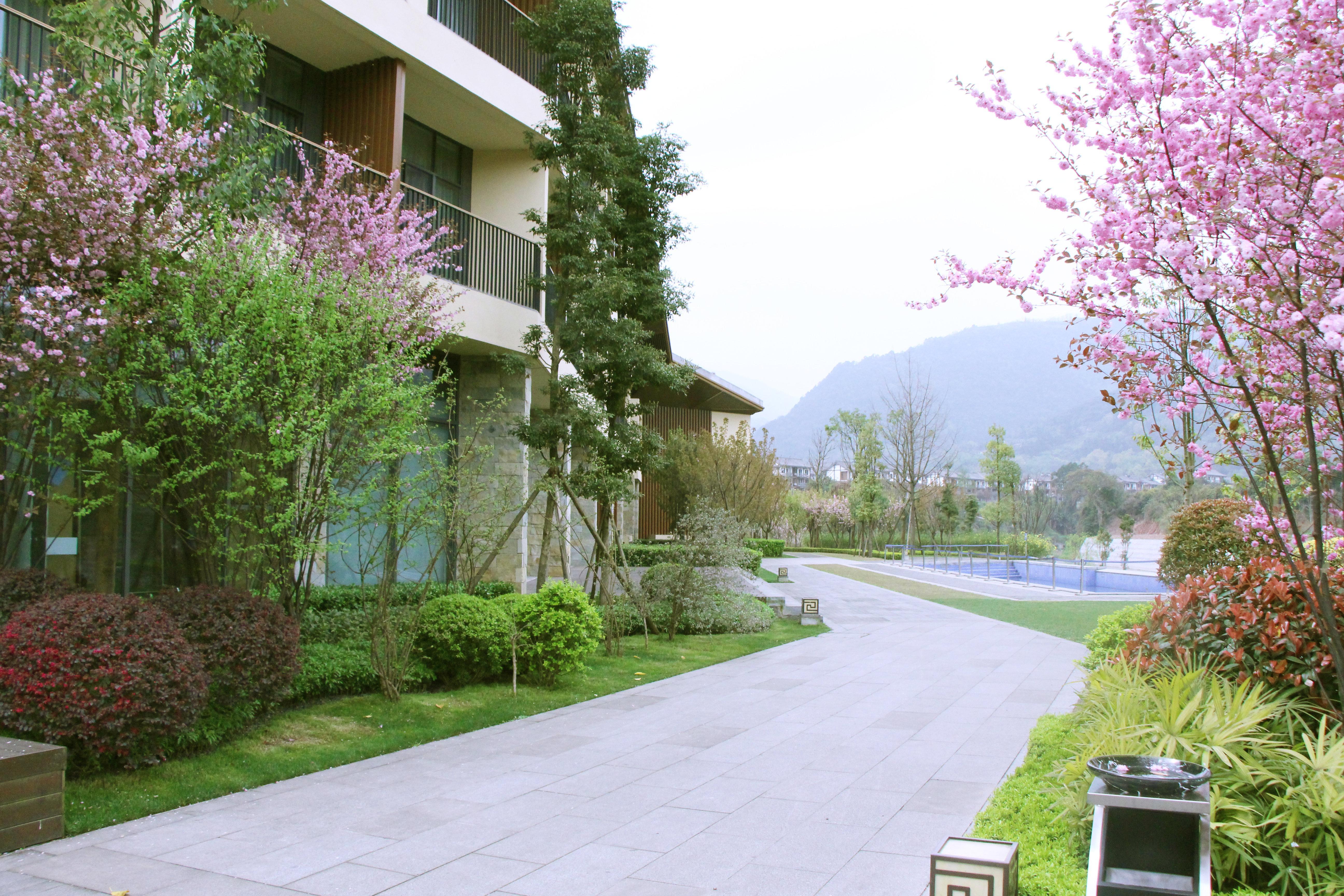 Holiday Inn Express Emei Mountain By Ihg Емейшань Екстер'єр фото